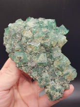 Load image into Gallery viewer, Rogerley Flourite