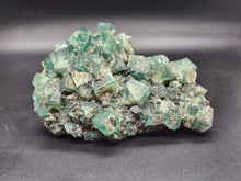 Load image into Gallery viewer, Rogerley Flourite