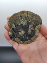 Load image into Gallery viewer, Pyrite Sun