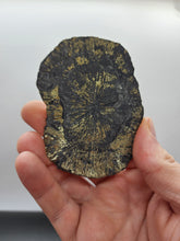 Load image into Gallery viewer, Pyrite Sun