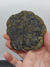 Load image into Gallery viewer, Pyrite Sun