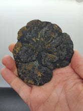 Load image into Gallery viewer, Pyrite Sun