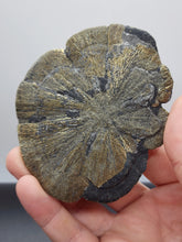 Load image into Gallery viewer, Pyrite Sun