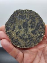 Load image into Gallery viewer, Pyrite Sun